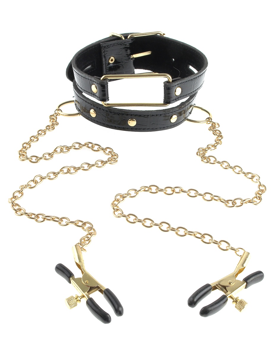 ׸        Gold Collar and Nipple Clamps