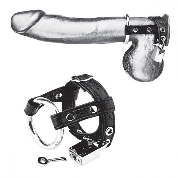      Duo Cock And Ball Lock