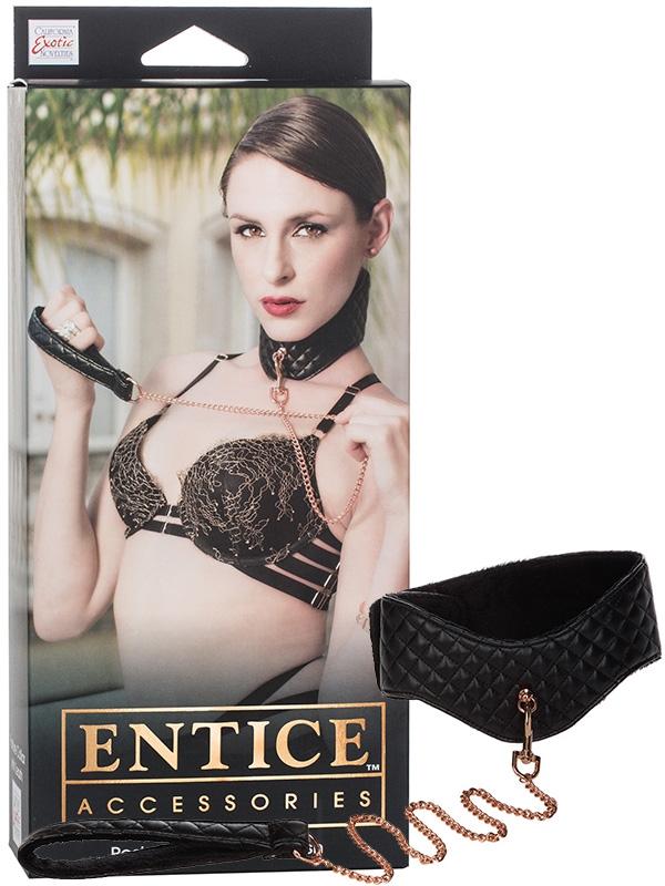  Entice Posture Collar with Leash    