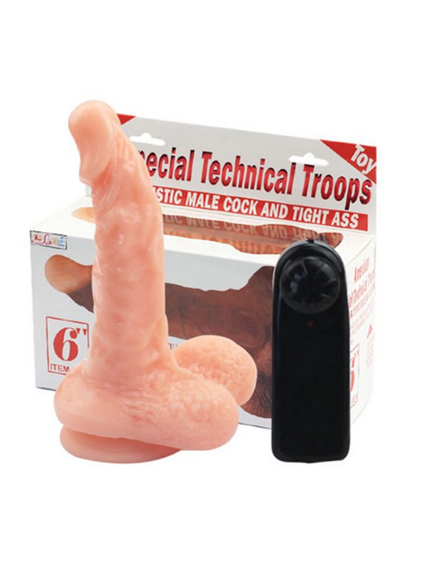  -     American Special Technical Troops  