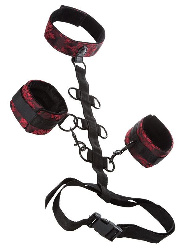      Scandal Collar Body Restraint